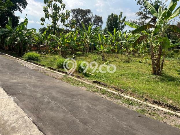 Tanah Lokasi Strategis Kawasan Kerjo, Luas 1300m2m², Kawasan Nyaman, Dekat Kerjo, Karanganyar, Karanganyar Tanah Lokasi Strategis Kawasan Kerjo, Luas 1300m2m², Kawasan Nyaman, Dekat Kerjo, Karanganyar, Karanganyar