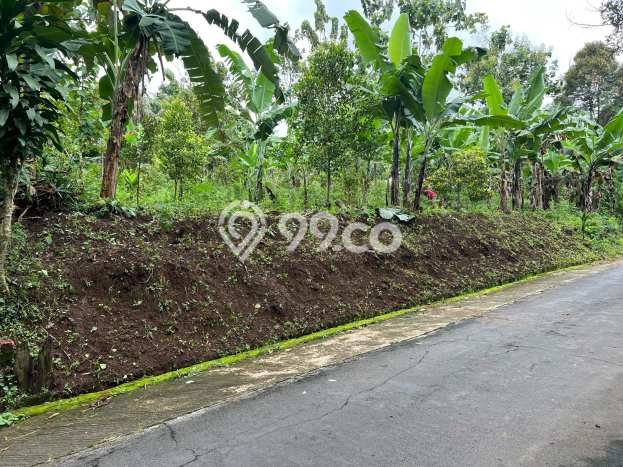 Tanah Dijual Lokasi Karanganyar, Solo dengan Luas Tanah 700m2 dan Status SHM Tanah Dijual Lokasi Karanganyar, Solo dengan Luas Tanah 700m2 dan Status SHM