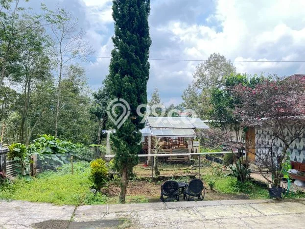 Lahan Investasi Lokasi Ngargoyoso Karanganyar SHM Lahan Investasi Lokasi Ngargoyoso Karanganyar SHM