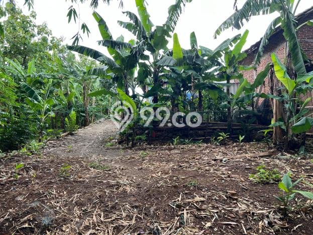 Tanah Strategis Kawasan Kerjo, Luas 159m², Dekat Kerjo, Karanganyar, Karanganyar Tanah Strategis Kawasan Kerjo, Luas 159m², Dekat Kerjo, Karanganyar, Karanganyar