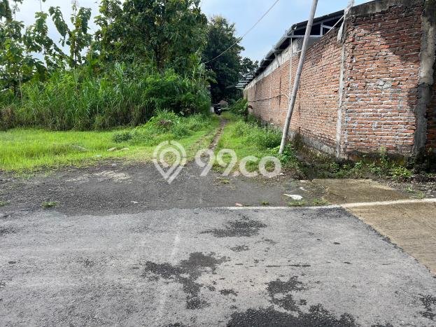Kavling Tanah di Sragen Dijual Luas 240m2 Legalitas SHM Kavling Tanah di Sragen Dijual Luas 240m2 Legalitas SHM
