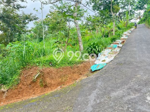 Kavling Tanah Dijual di Ngargoyoso Karanganyar Spesifikasi 2000m2 Kavling Tanah Dijual di Ngargoyoso Karanganyar Spesifikasi 2000m2