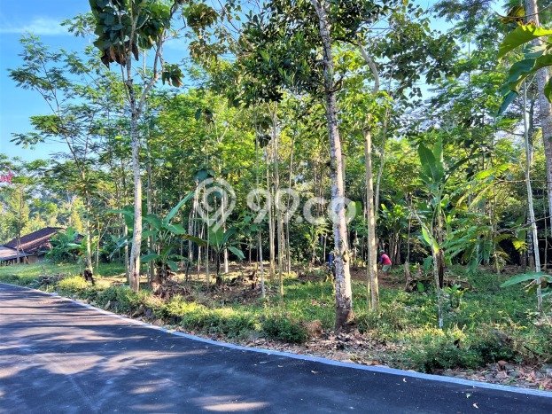 Tanah Kawasan Mojogedang, Luas 1630m2m², Dekat Mojogedang, Karanganyar, Karanganyar Tanah Kawasan Mojogedang, Luas 1630m2m², Dekat Mojogedang, Karanganyar, Karanganyar