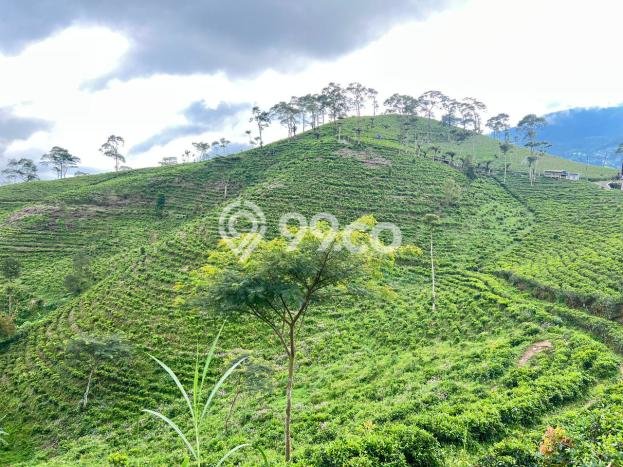 Tanah Kavling untuk Dijual di Ngargoyoso Karanganyar 300m2 Tanah Kavling untuk Dijual di Ngargoyoso Karanganyar 300m2
