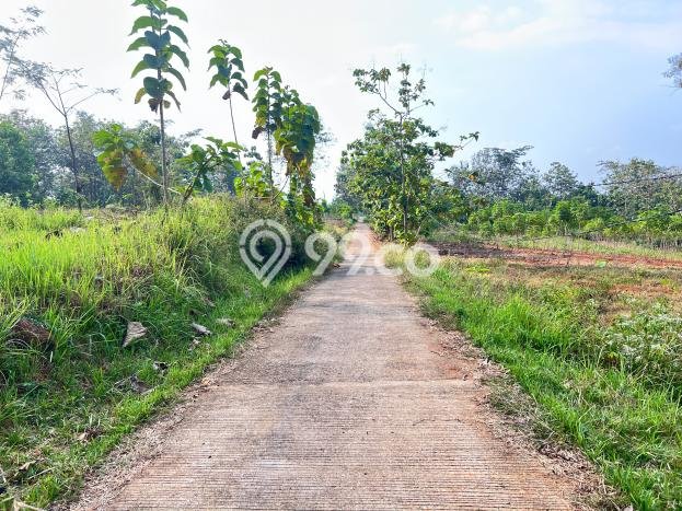 HARGA MENARIK! Tanah Kawasan Karanganyar, Luas 8285m2m², Kawasan Potensial, Bebas Longsor HARGA MENARIK! Tanah Kawasan Karanganyar, Luas 8285m2m², Kawasan Potensial, Bebas Longsor