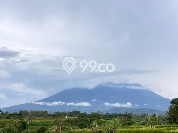 LOKASI STRATEGIS! Tanah di Kerjo, Luas 3592m2m², Tepi Jalan Utama LOKASI STRATEGIS! Tanah di Kerjo, Luas 3592m2m², Tepi Jalan Utama