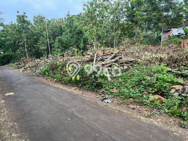 HOT DEAL! Tanah di Kerjo, Luas 987m2m², Lokasi Premium HOT DEAL! Tanah di Kerjo, Luas 987m2m², Lokasi Premium
