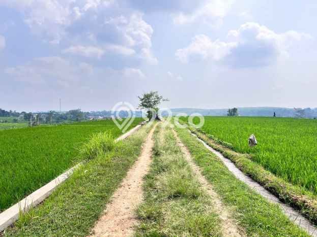 Tanah di Kerjo, Luas 1000m², Dekat Fasilitas, Potensi Bagus Tanah di Kerjo, Luas 1000m², Dekat Fasilitas, Potensi Bagus