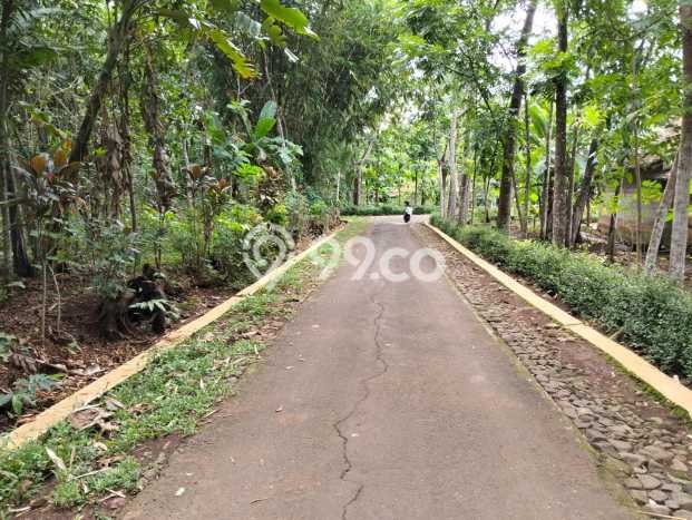 Kavling Tanah Dijual di Mojogedang Karanganyar Spesifikasi 1000m2 Kavling Tanah Dijual di Mojogedang Karanganyar Spesifikasi 1000m2