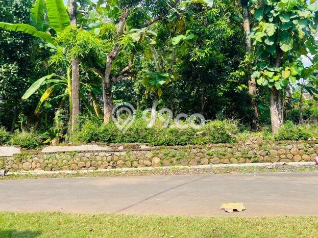 Kavling Tanah di Mojogedang Dijual Luas 1700m2 Legalitas SHM Kavling Tanah di Mojogedang Dijual Luas 1700m2 Legalitas SHM