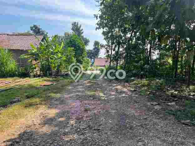 Tanah di Sambirejo, Luas 2040m2m², Sertifikat SHM, Dekat Sambirejo, Sragen, Sragen Tanah di Sambirejo, Luas 2040m2m², Sertifikat SHM, Dekat Sambirejo, Sragen, Sragen