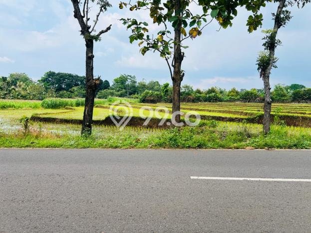 Untuk Dijual Tanah di Surakarta, Luas 4000m2 SHM Untuk Dijual Tanah di Surakarta, Luas 4000m2 SHM