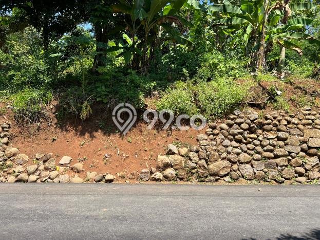 Tanah untuk Dijual Lokasi Kerjo, Karanganyar Luas 1200m2 SHM Tanah untuk Dijual Lokasi Kerjo, Karanganyar Luas 1200m2 SHM