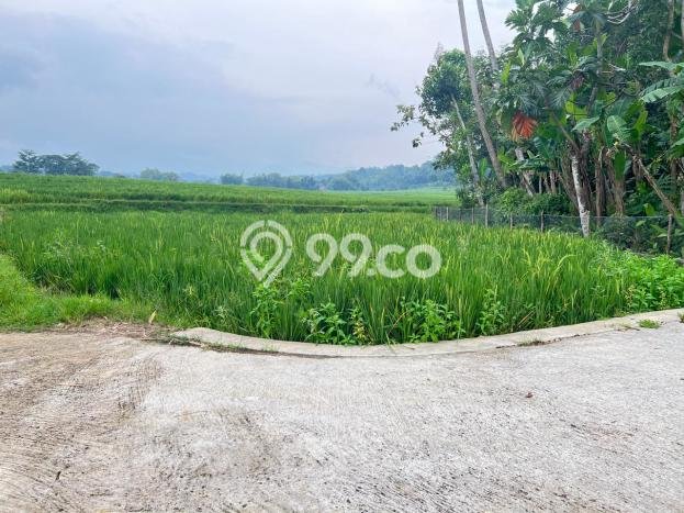 Kavling Tanah Dijual di Mojogedang Karanganyar Spesifikasi 424m2 Kavling Tanah Dijual di Mojogedang Karanganyar Spesifikasi 424m2