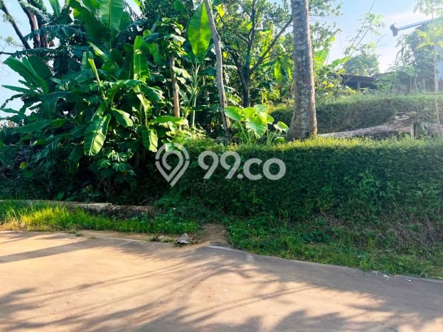 Tanah Kavling untuk Dijual di Kerjo Karanganyar 793m2 Tanah Kavling untuk Dijual di Kerjo Karanganyar 793m2