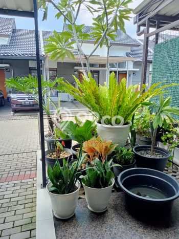 Kesempatan Memiliki Rumah LT 65m² / LB 100m² di Gunung Batu, Dekat Pusat Kota, Bandung Kesempatan Memiliki Rumah LT 65m² / LB 100m² di Gunung Batu, Dekat Pusat Kota, Bandung