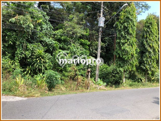 Tanah Kawasan Depok, Luas 162m², Sertifikat SHM, Akses Depok, Sleman, Sleman Tanah Kawasan Depok, Luas 162m², Sertifikat SHM, Akses Depok, Sleman, Sleman