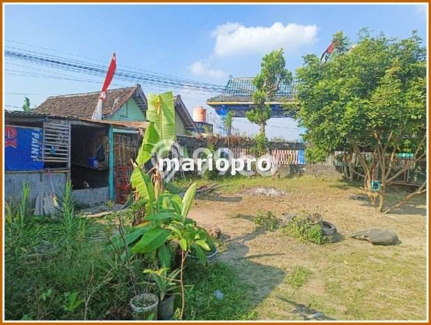 Tanah di Tegalrejo, Luas 165m², Status SHM, Akses Tegalrejo, Yogyakarta, Yogyakarta Tanah di Tegalrejo, Luas 165m², Status SHM, Akses Tegalrejo, Yogyakarta, Yogyakarta