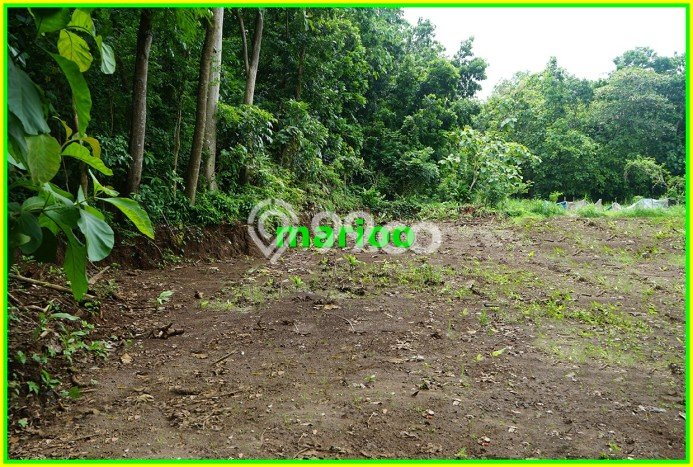 LOKASI STRATEGIS! Tanah Kawasan Plered, Luas 124m², Area Nyaman, Cocok untuk Investasi LOKASI STRATEGIS! Tanah Kawasan Plered, Luas 124m², Area Nyaman, Cocok untuk Investasi