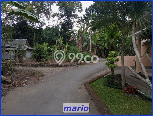 Tanah Lokasi Strategis di Ngaglik, Luas 126m², Lingkungan Nyaman, Akses Ngaglik, Sleman, Sleman Tanah Lokasi Strategis di Ngaglik, Luas 126m², Lingkungan Nyaman, Akses Ngaglik, Sleman, Sleman