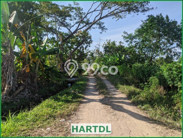 LOKASI STRATEGIS! Tanah di Gamping, Luas 148m², Kawasan Berkembang, Cocok untuk Investasi LOKASI STRATEGIS! Tanah di Gamping, Luas 148m², Kawasan Berkembang, Cocok untuk Investasi