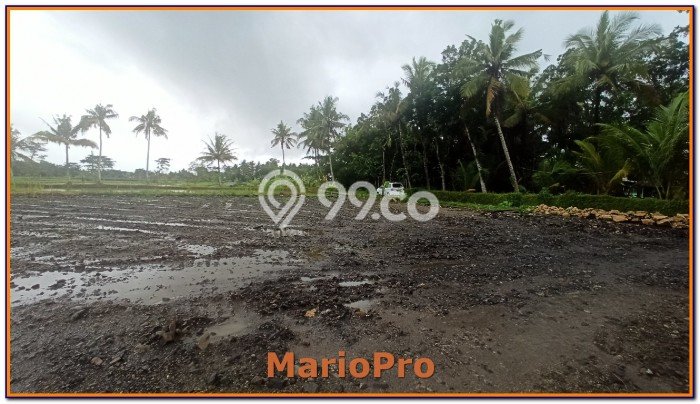 Tanah Bisnis Kawasan Pengasih, Luas 123m², Lokasi Strategis Tanah Bisnis Kawasan Pengasih, Luas 123m², Lokasi Strategis