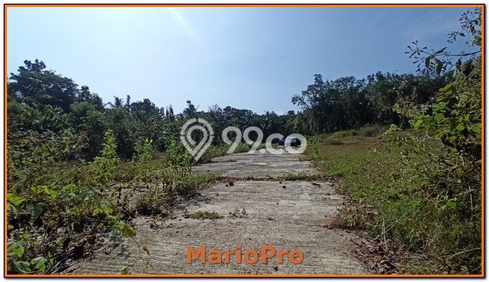Tanah Kawasan Panjatan, Luas 138m², Area Potensial, Kawasan Asri, Kontur Datar Tanah Kawasan Panjatan, Luas 138m², Area Potensial, Kawasan Asri, Kontur Datar