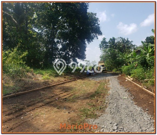Tanah Strategis Kawasan Ngombol, Luas 142m², Akses Ngombol, Purworejo, Purworejo Tanah Strategis Kawasan Ngombol, Luas 142m², Akses Ngombol, Purworejo, Purworejo