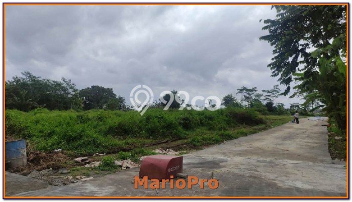Tanah Strategis Kawasan Ngombol, Luas 142m², Akses Ngombol, Purworejo, Purworejo Tanah Strategis Kawasan Ngombol, Luas 142m², Akses Ngombol, Purworejo, Purworejo