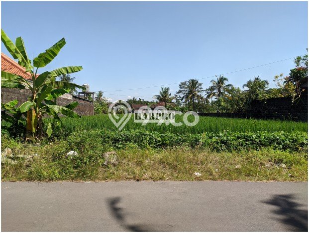 Dijual Tanah Lokasi Prima di Ngaglik, Luas 131m², Dekat Ngaglik, Sleman, Sleman Dijual Tanah Lokasi Prima di Ngaglik, Luas 131m², Dekat Ngaglik, Sleman, Sleman