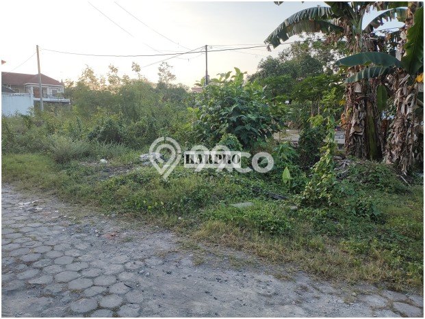AREA PROSPEKTIF! Tanah Kawasan Ngaglik, Luas 169m², Dekat Fasilitas Umum, Kawasan Berkembang AREA PROSPEKTIF! Tanah Kawasan Ngaglik, Luas 169m², Dekat Fasilitas Umum, Kawasan Berkembang