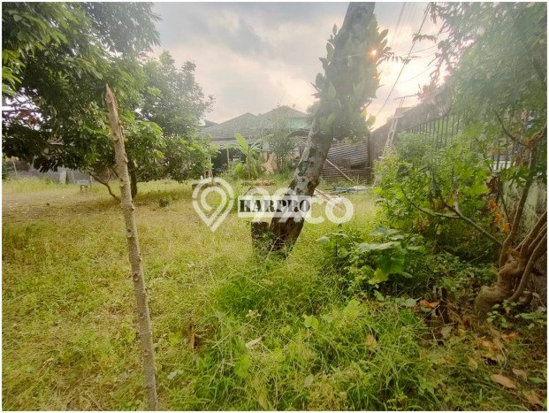 HARGA TERBAIK! Tanah di Tegalrejo, Luas 165m², Lokasi Strategis HARGA TERBAIK! Tanah di Tegalrejo, Luas 165m², Lokasi Strategis