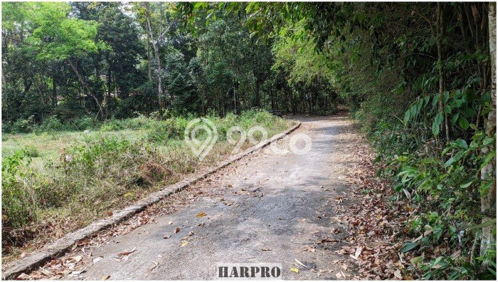 HARGA TERBAIK! Tanah di Manisrenggo, Luas 144m², Jalur Mudah, Area Berkembang HARGA TERBAIK! Tanah di Manisrenggo, Luas 144m², Jalur Mudah, Area Berkembang