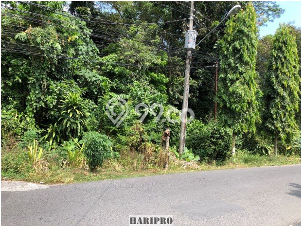 Dijual Tanah di Condong Catur, Luas 142m², Lokasi Strategis Dijual Tanah di Condong Catur, Luas 142m², Lokasi Strategis