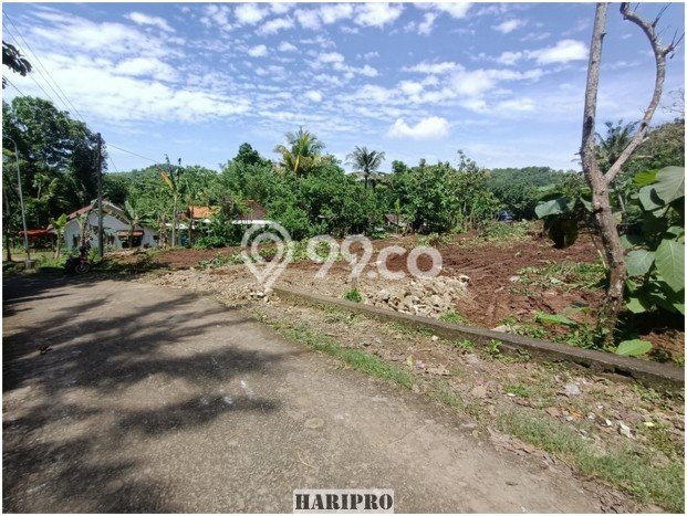 Tanah Area Berkembang Kawasan Imogiri , Luas 174m², Kawasan Nyaman, Akses Imogiri , Bantul, Bantul Tanah Area Berkembang Kawasan Imogiri , Luas 174m², Kawasan Nyaman, Akses Imogiri , Bantul, Bantul