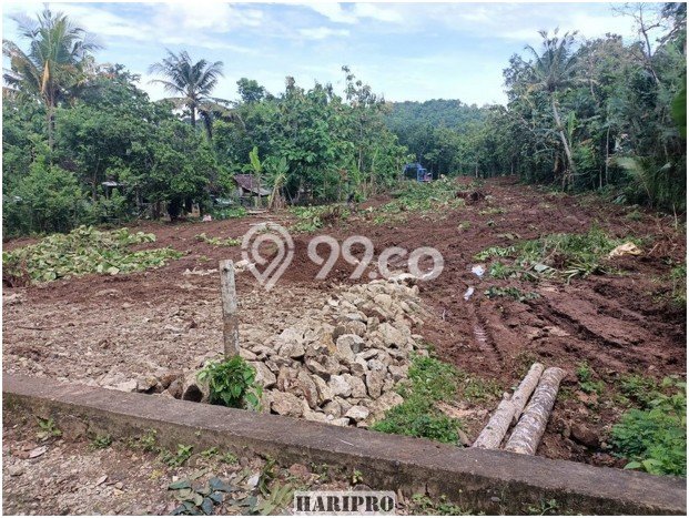 Tanah Area Berkembang Kawasan Imogiri , Luas 174m², Kawasan Nyaman, Akses Imogiri , Bantul, Bantul Tanah Area Berkembang Kawasan Imogiri , Luas 174m², Kawasan Nyaman, Akses Imogiri , Bantul, Bantul
