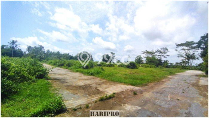 Tanah Area Prospektif di Ngombol, Luas 141m², Dekat ke Pusat Kota Tanah Area Prospektif di Ngombol, Luas 141m², Dekat ke Pusat Kota