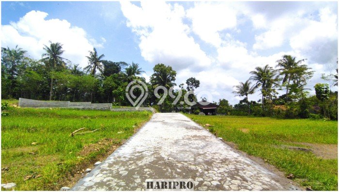 Dijual Tanah Kawasan Wates, Luas 184m², Area Berkembang Dijual Tanah Kawasan Wates, Luas 184m², Area Berkembang