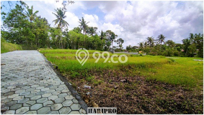Dijual Tanah Kawasan Wates, Luas 184m², Area Berkembang Dijual Tanah Kawasan Wates, Luas 184m², Area Berkembang