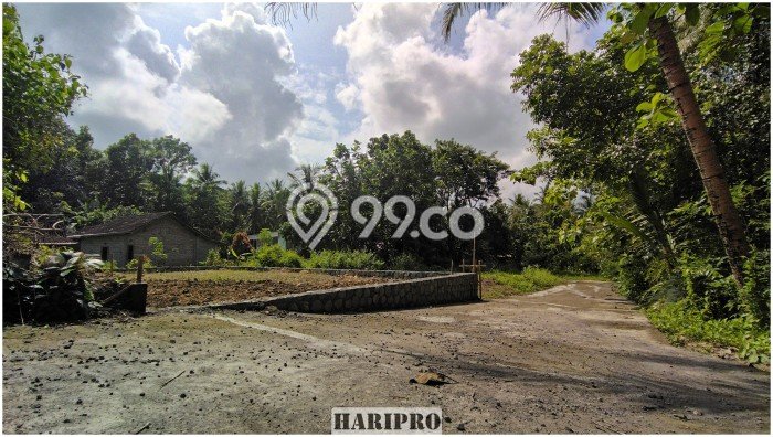 Tanah Kawasan Panjatan, Luas 179m², Sertifikat Hak Milik, Akses Panjatan, Kulon Progo, Kulon Progo Tanah Kawasan Panjatan, Luas 179m², Sertifikat Hak Milik, Akses Panjatan, Kulon Progo, Kulon Progo