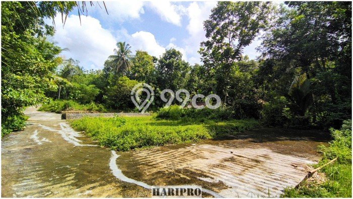 Tanah Kawasan Panjatan, Luas 179m², Sertifikat Hak Milik, Akses Panjatan, Kulon Progo, Kulon Progo Tanah Kawasan Panjatan, Luas 179m², Sertifikat Hak Milik, Akses Panjatan, Kulon Progo, Kulon Progo