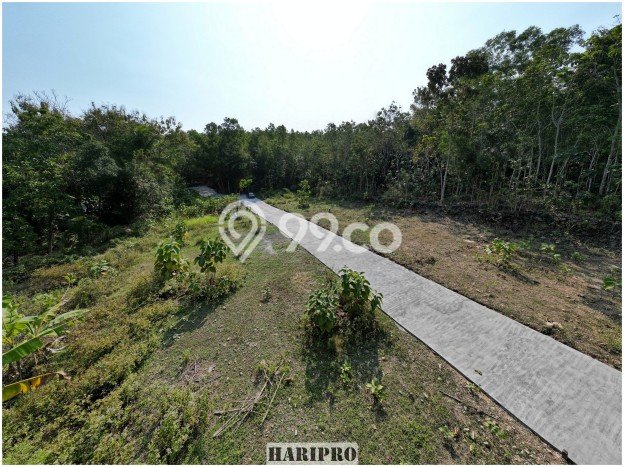 Tanah di Panjatan, Luas 131m², Area Potensial, Lingkungan Asri Tanah di Panjatan, Luas 131m², Area Potensial, Lingkungan Asri