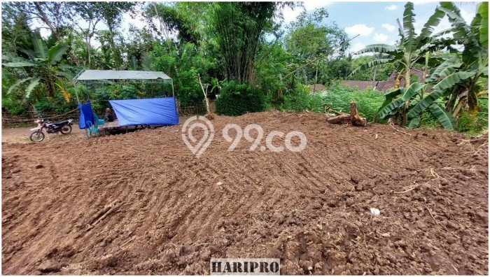 Dijual Tanah di Tempuran, Luas 113m², Dekat Tempuran, Magelang, Magelang Dijual Tanah di Tempuran, Luas 113m², Dekat Tempuran, Magelang, Magelang