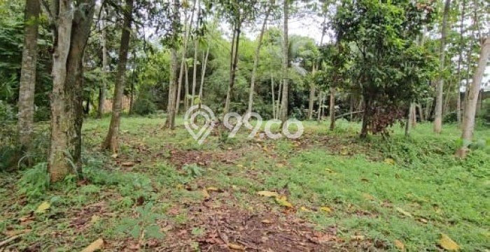 Tanah Kawasan Tapos, Luas 2000m², Akses Pusat Kota, Ideal untuk Perumahan Tanah Kawasan Tapos, Luas 2000m², Akses Pusat Kota, Ideal untuk Perumahan