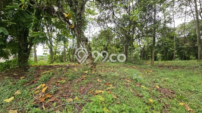 Tanah Kawasan Tapos, Luas 2000m², Akses Pusat Kota, Ideal untuk Perumahan Tanah Kawasan Tapos, Luas 2000m², Akses Pusat Kota, Ideal untuk Perumahan