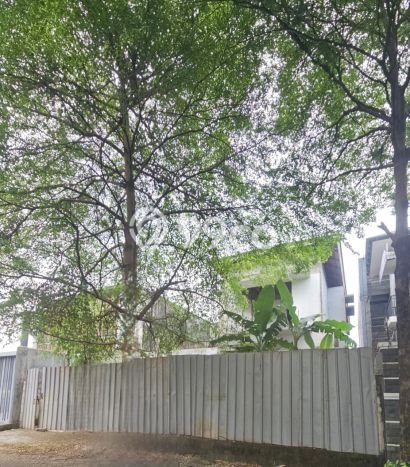 Siap Huni Hunian Elit 4 Kamar di Kebon Jeruk Dekat ke Mana Saja Siap Huni Hunian Elit 4 Kamar di Kebon Jeruk Dekat ke Mana Saja