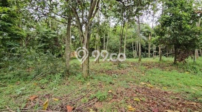 Tanah Kawasan Tapos, Luas 2000m², Akses Pusat Kota, Ideal untuk Perumahan Tanah Kawasan Tapos, Luas 2000m², Akses Pusat Kota, Ideal untuk Perumahan