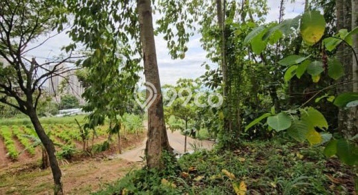 Tanah Kawasan Tapos, Luas 2000m², Akses Pusat Kota, Ideal untuk Perumahan Tanah Kawasan Tapos, Luas 2000m², Akses Pusat Kota, Ideal untuk Perumahan