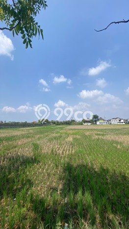 Untuk Dijual Tanah di Bandung, Luas 35000m2 SHM Untuk Dijual Tanah di Bandung, Luas 35000m2 SHM