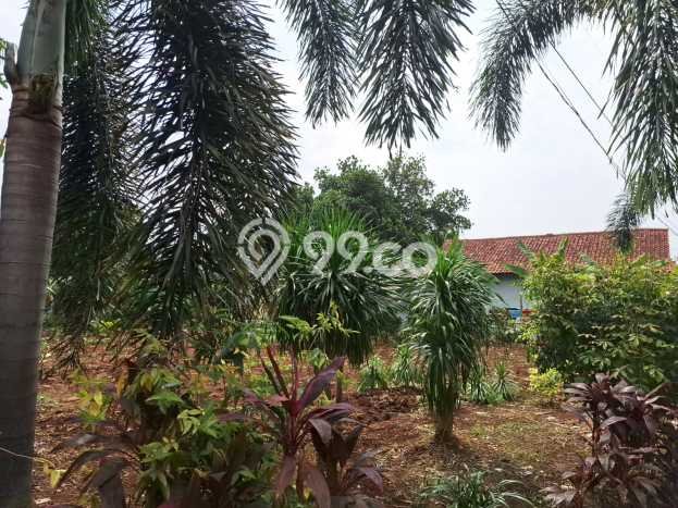 Tanah Komersial Dijual di Parung Bogor 500m2 Tanah Komersial Dijual di Parung Bogor 500m2
